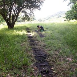 Working-from-far-2-copy