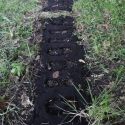 binaries-close-up-copy