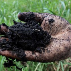 holding-up-clay-and-dirt-hand-close-up-copy